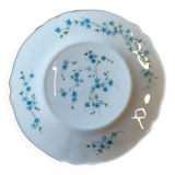 Arcopal plates