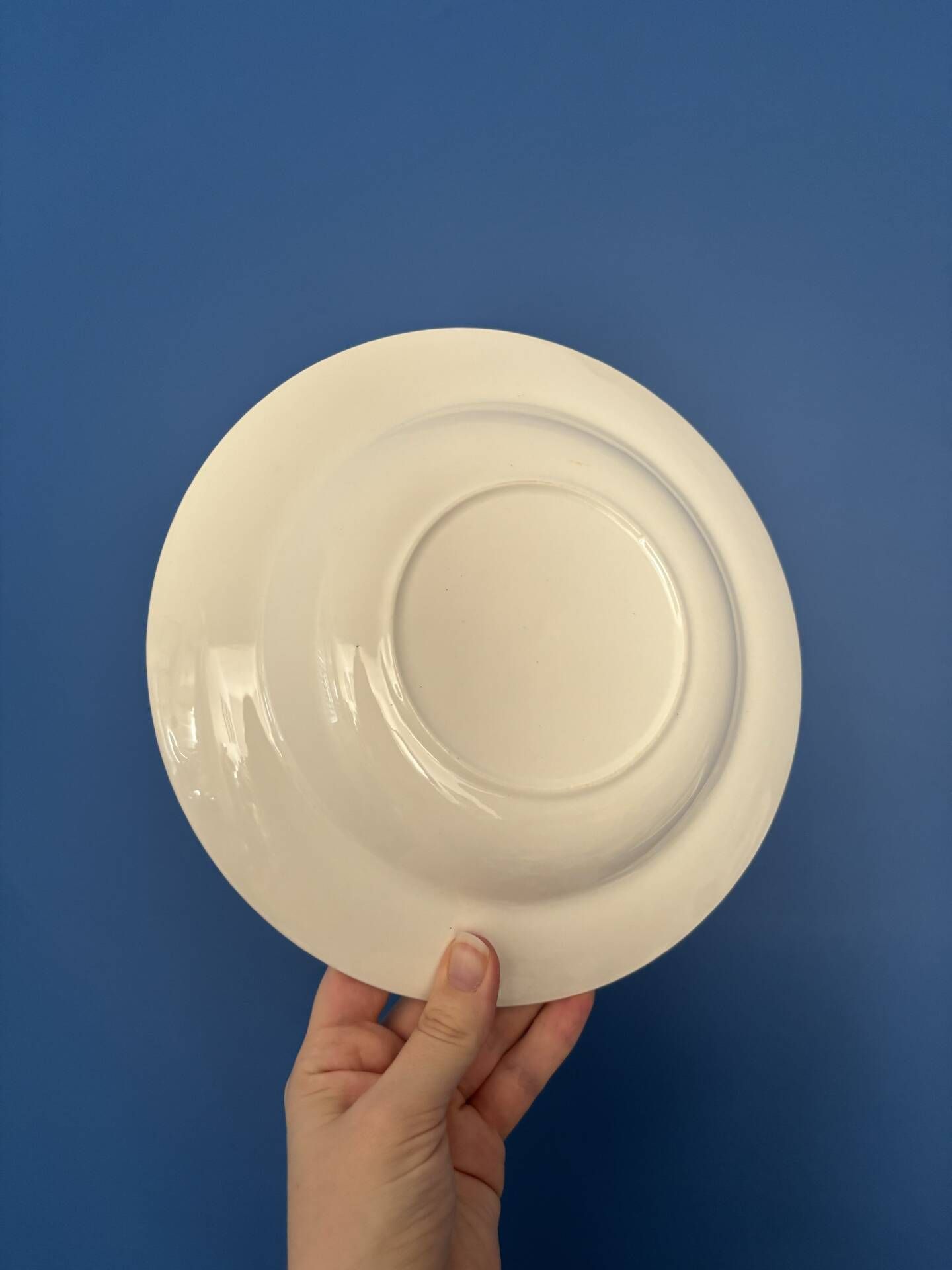 Set of 6 vintage deep plates in earthenware with blue lily of the valley flowers.