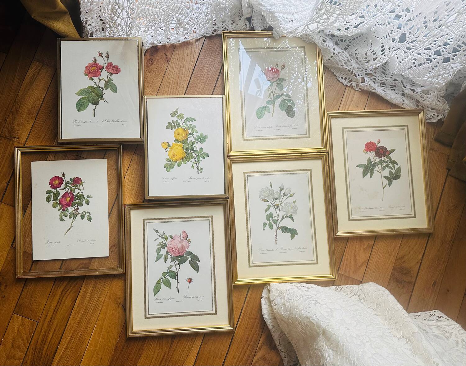 Lot de 7 lithographies botaniques roses 1950