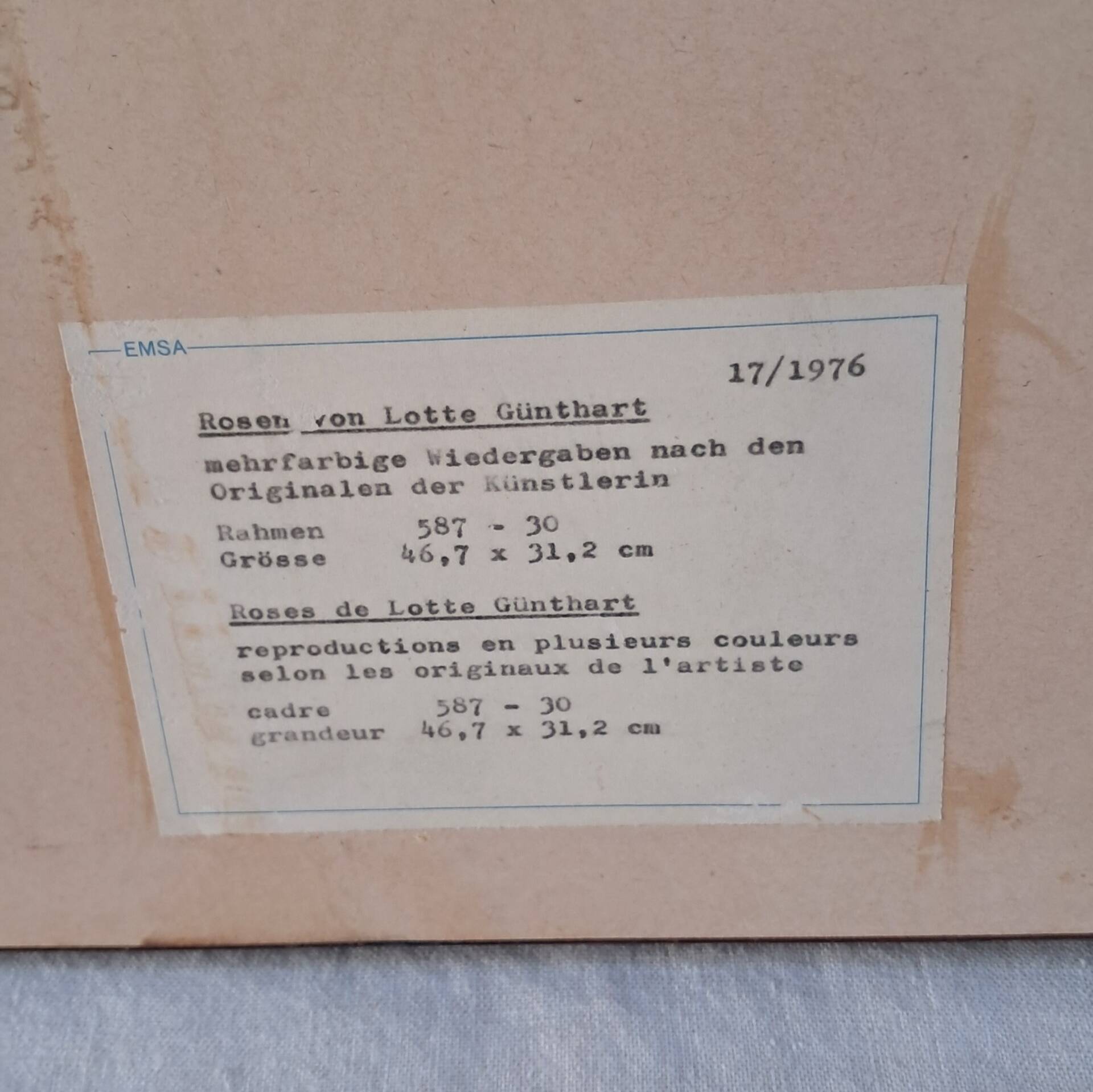 Botanical engraving vintage frame "Rose Queen Elizabeth" by Lotte Gün