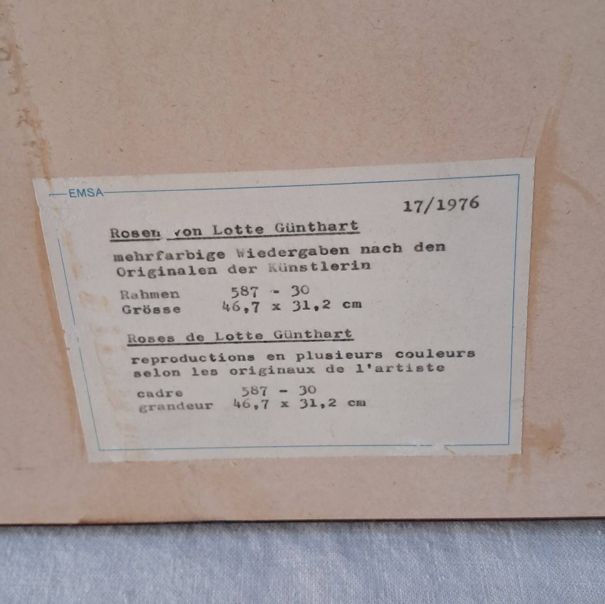 Gravure botanique cadre vintage « Rose Queen Elizabeth » par Lotte Gün