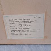 Gravure botanique cadre vintage « Rose Queen Elizabeth » par Lotte Gün