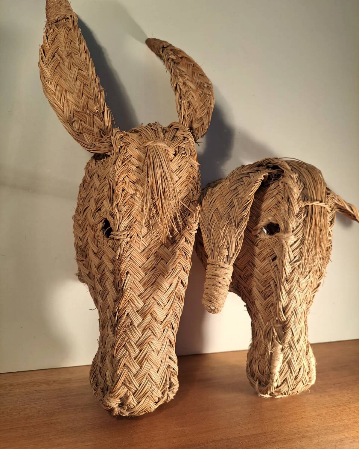 Wall decoration 2 seagrass animals