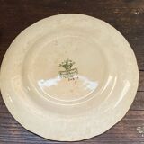 Dessert plates, ironstone, Mason's, England