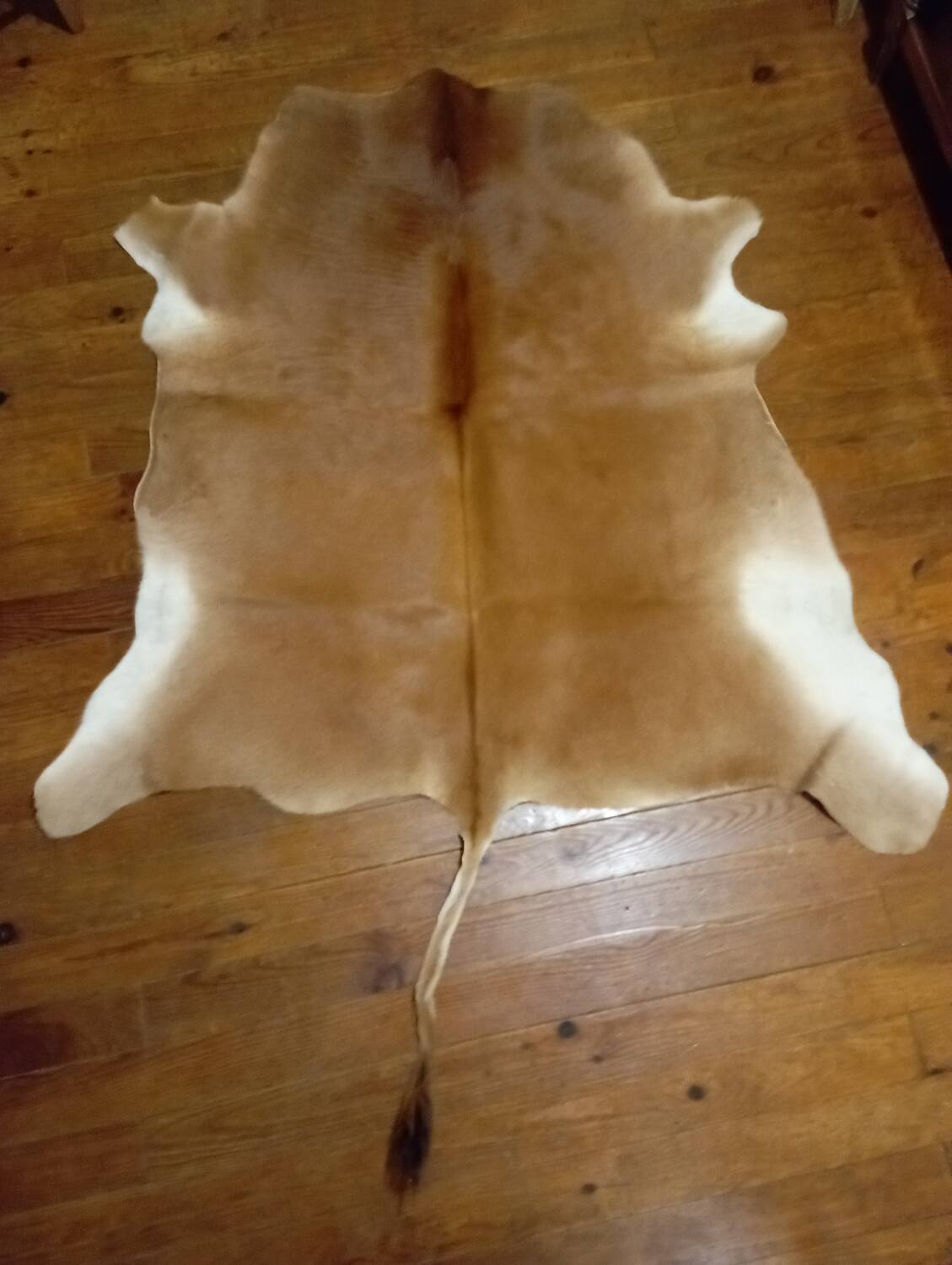 Cowhide rug