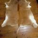 Cowhide rug