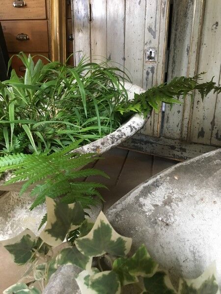 Pair of planters 1950