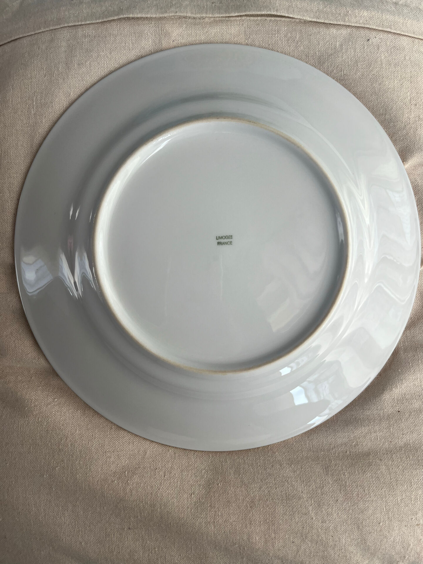 Antique Limoges porcelain plate – bird decoration – 25 cm