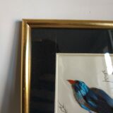 Framing a blue bird in feathers and painting