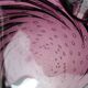 Purple murano glass ashtray