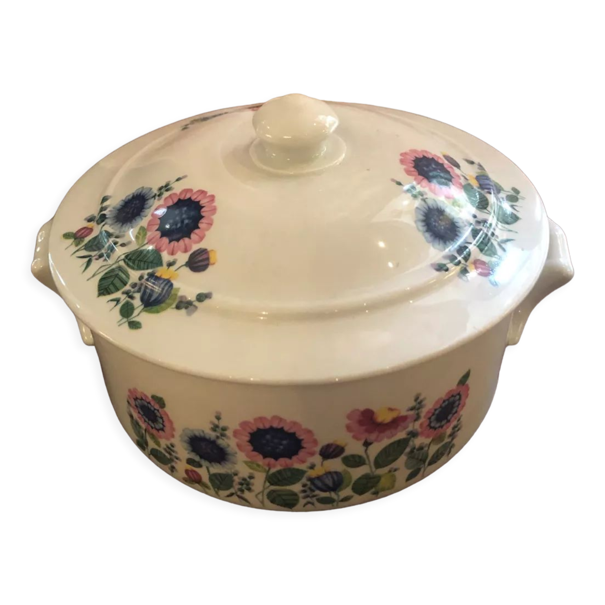 Vegetable porcelain Apilco