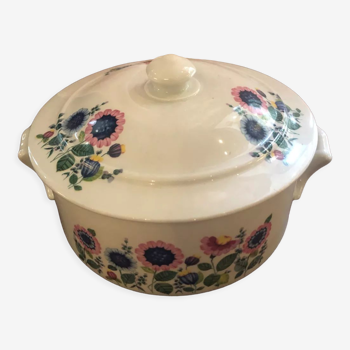 Vegetable porcelain Apilco