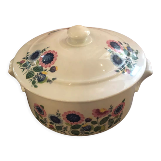 Vegetable porcelain Apilco