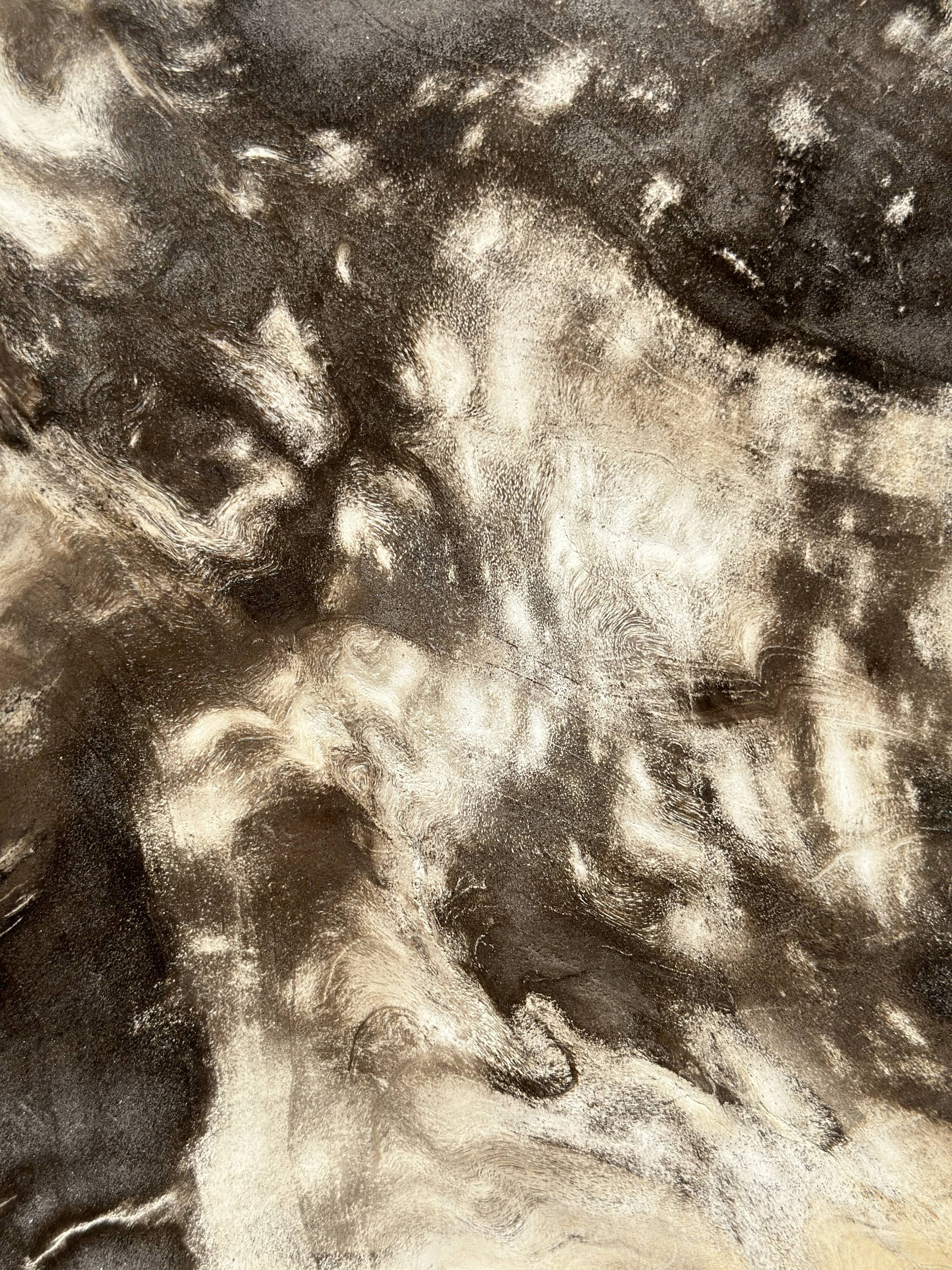 Very large pocket or dish in petrified wood