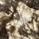 Very large pocket or dish in petrified wood
