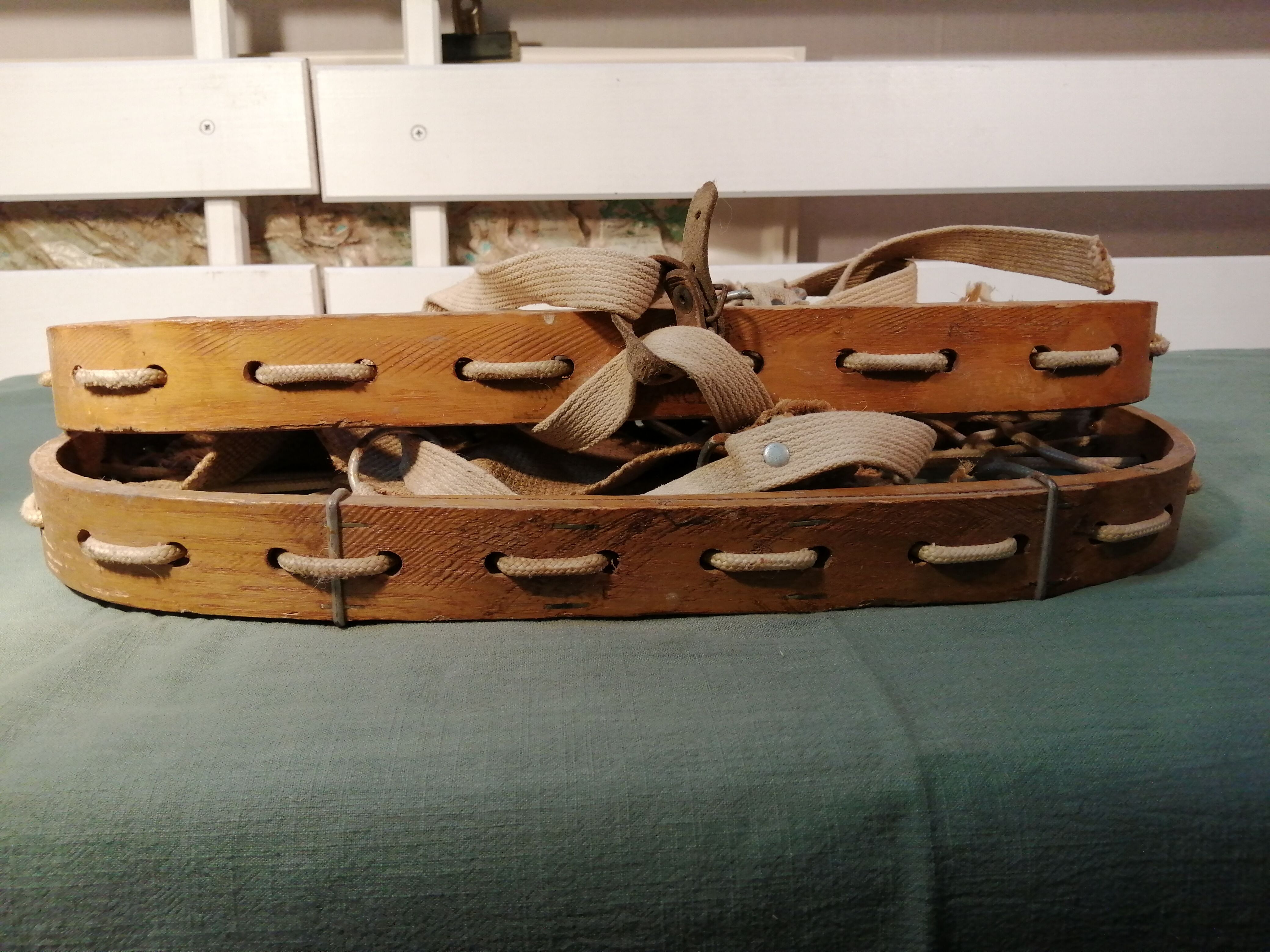 Winterna old snowshoe