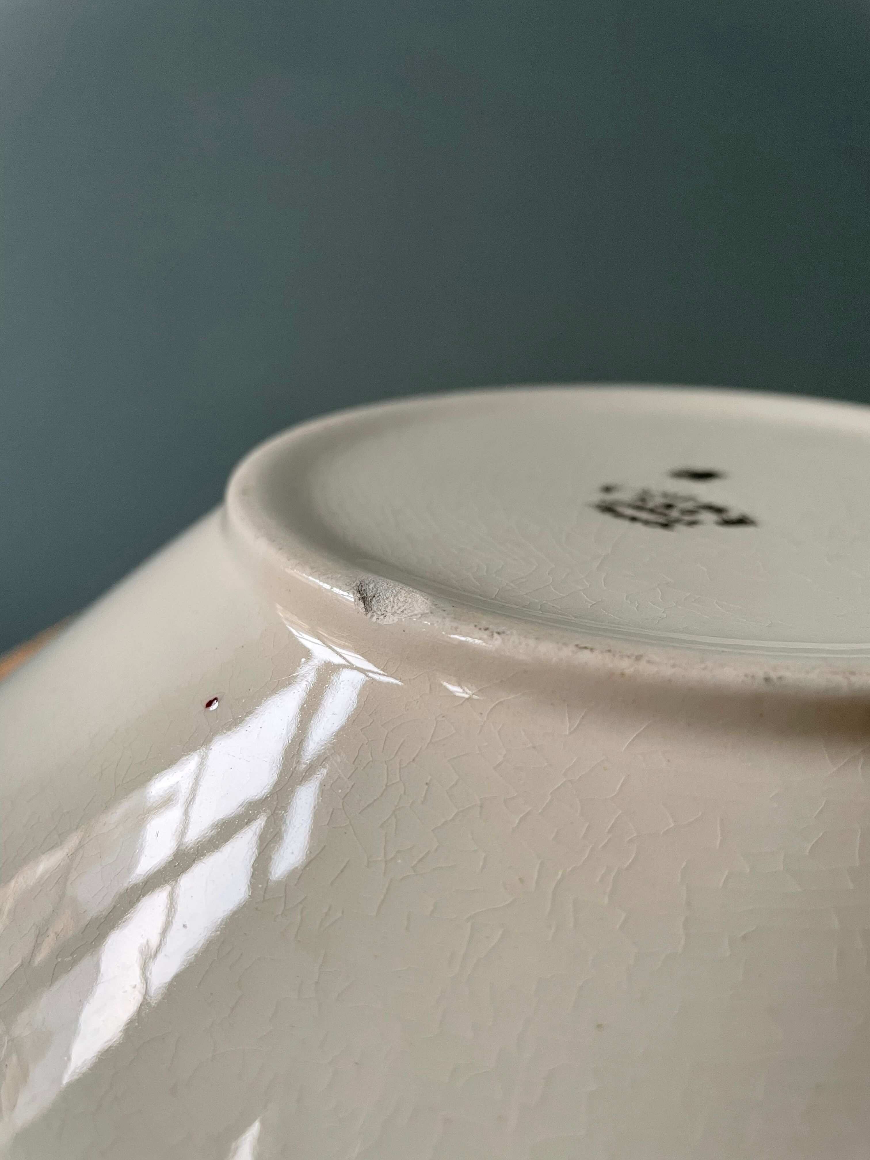 Vegetable 1930 in lunéville earthenware, lucas model