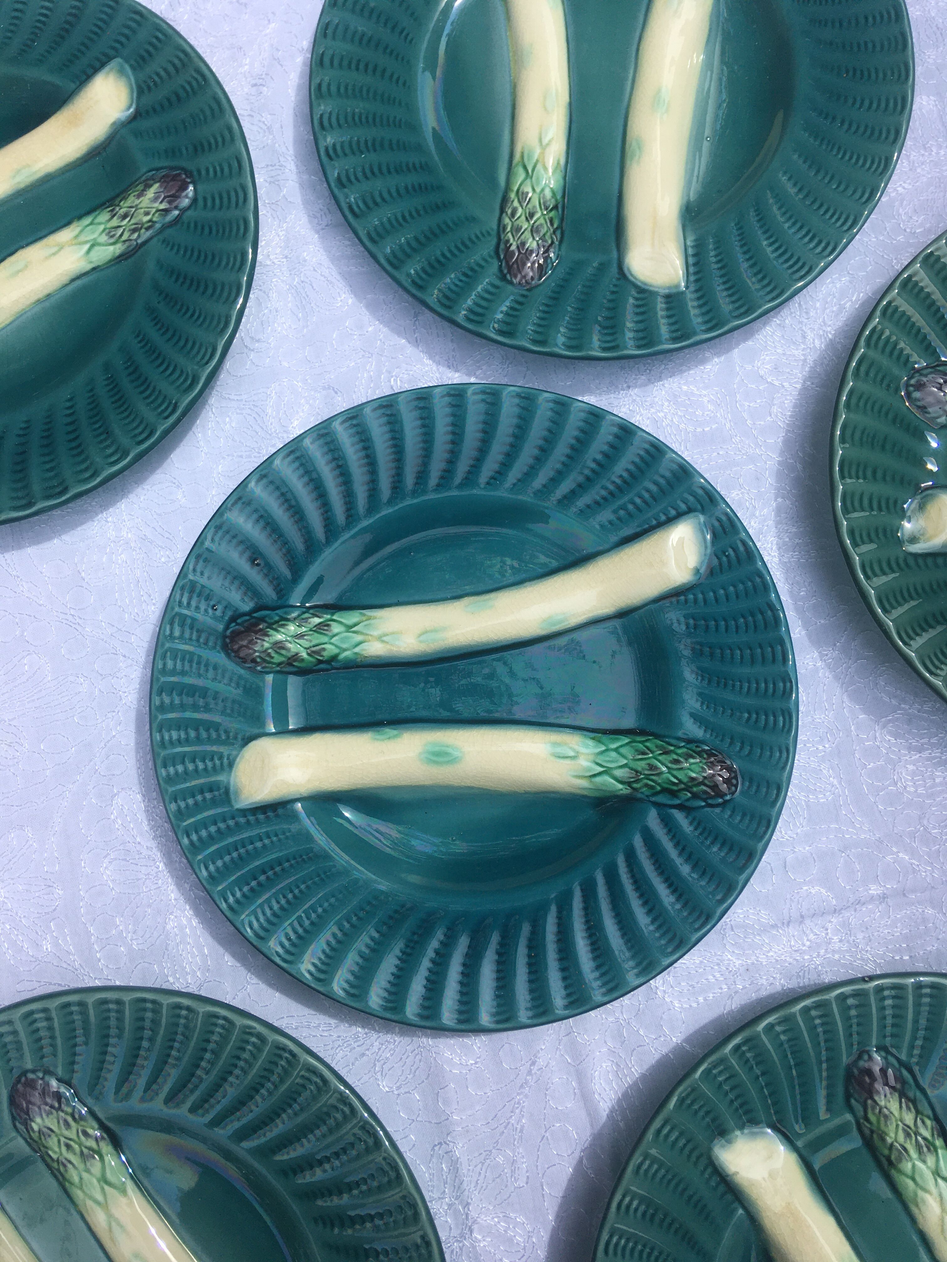 6 asparagus plates in dabbling