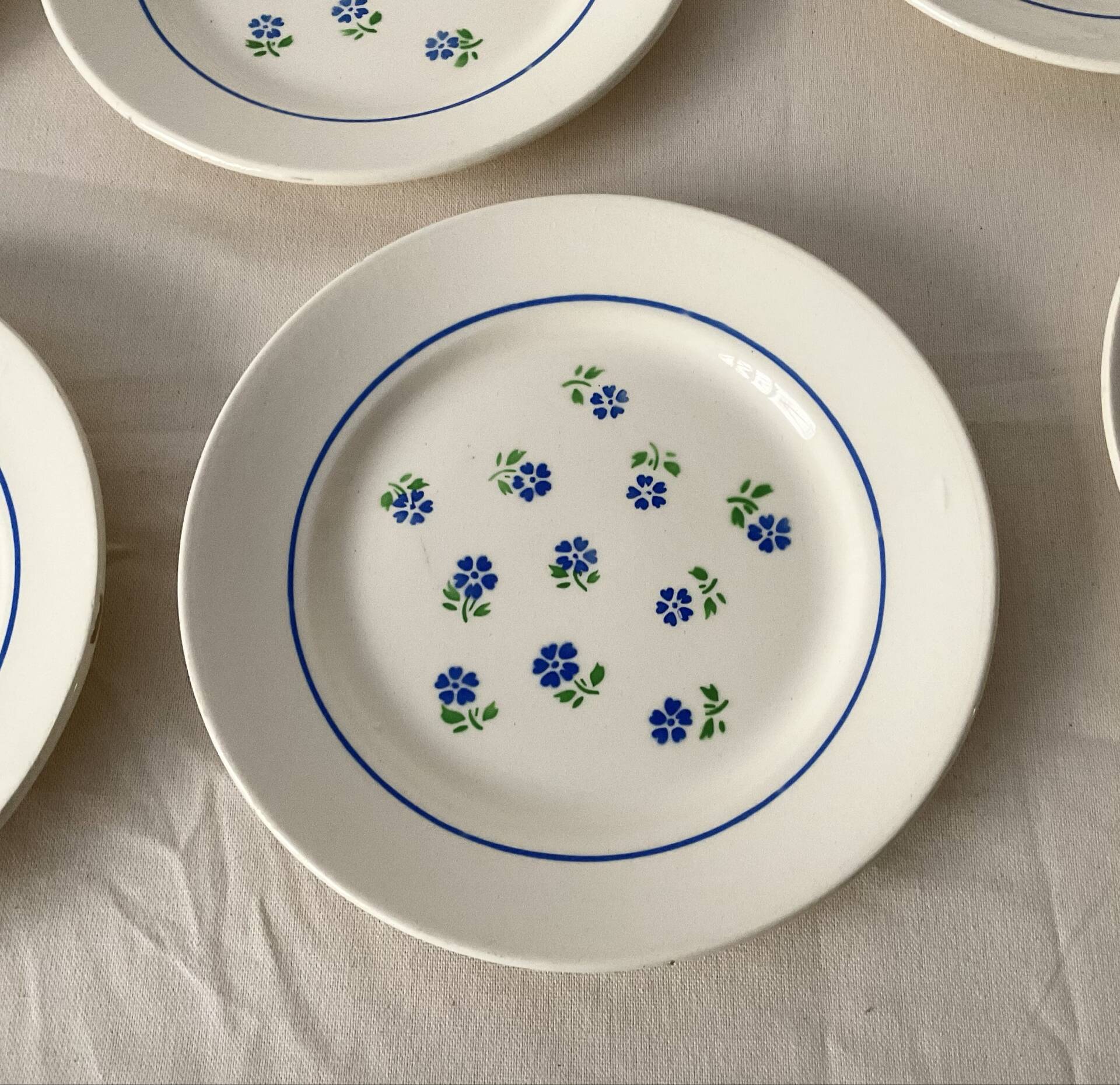 Set of 6 flat plates Badonviller in semi-porcelain – Flora design