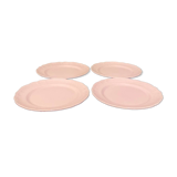 4 Salins pink flat plates