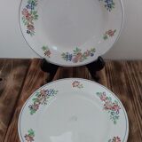 Set of Gien plates