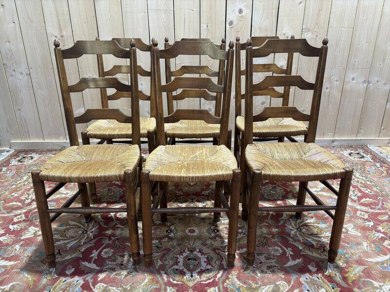 Série de chaises paillées salle à manger