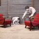 Pair of H 410 armchairs by Jindřich Halabala for Up Zavody