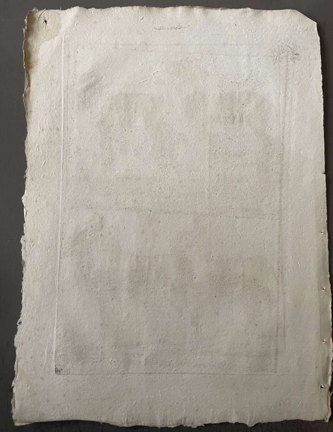 Engraving Old book 18th century Buffon, Bonnaterre, Natural history