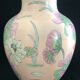 China enamel lotus vase China 19th Height 30.02 cm