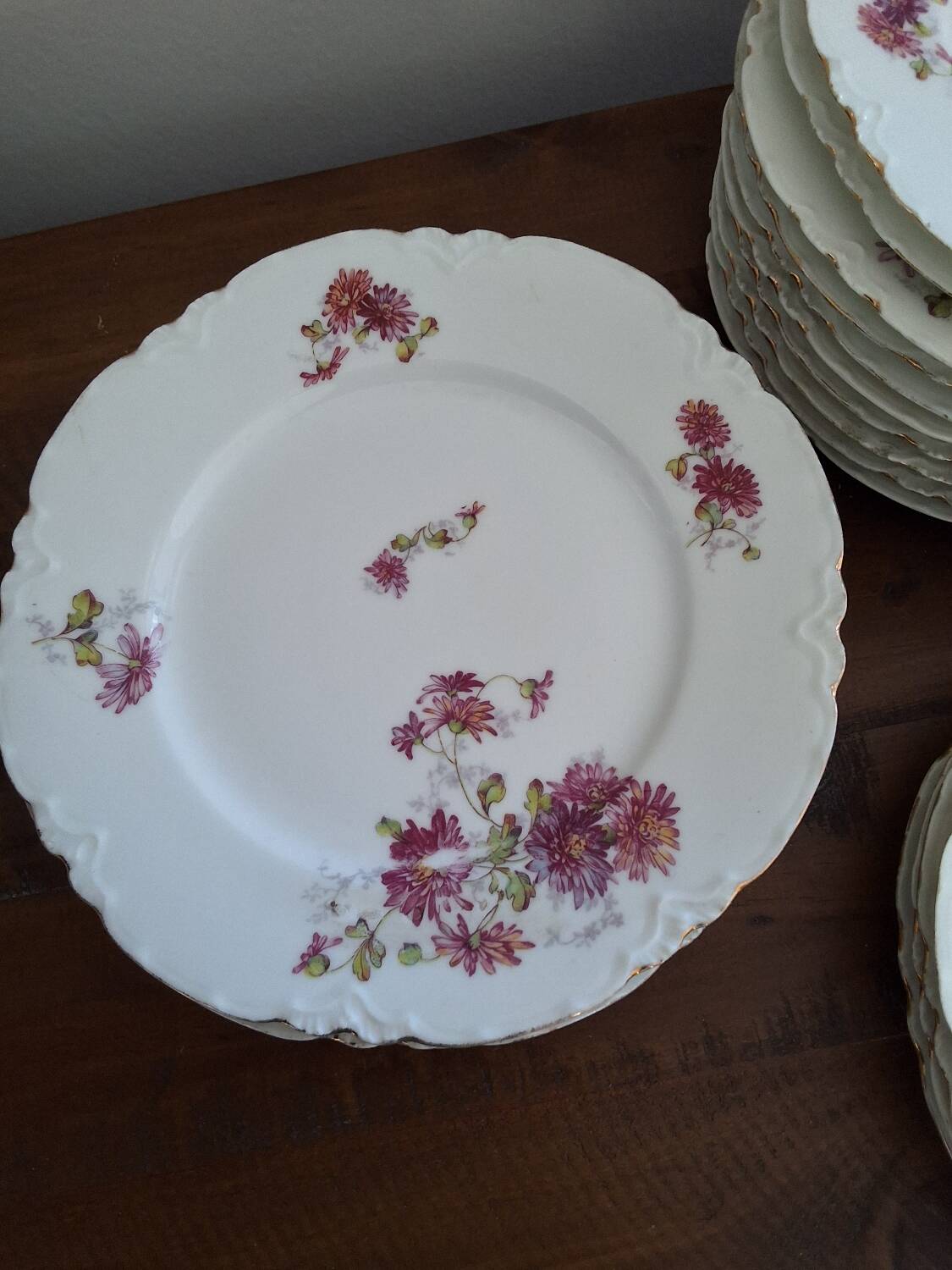 12 VINTAGE PORCELAIN PLATES "HAVILAND"
