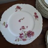 12 VINTAGE PORCELAIN PLATES "HAVILAND"