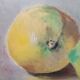 Oil painting still life with two lemons 1960 signed