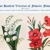 Poster about lily of the valley, flax, lobelia and lupin