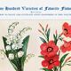 Poster about lily of the valley, flax, lobelia and lupin