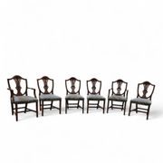 6 x English mahogany Hepplewhite chairs / 1920s