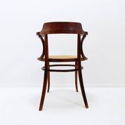 Chaise ou fauteuil en bois courbé style Thonet - années 1950