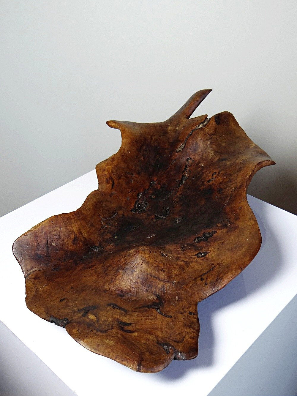 Large monoxyle bowl made of dark raw olive wood from the 1950s.