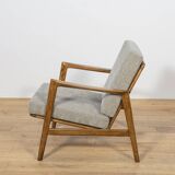 Mid-Century Model 300-139 Armchairs from Swarzędzka Factory, Poland, 1960s.