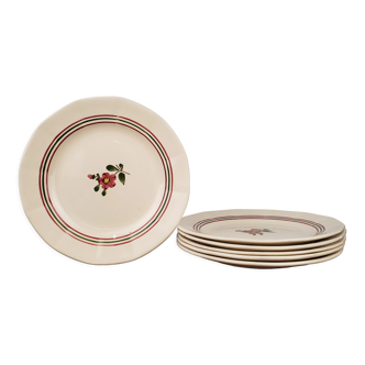 Flat plates - Sarreguemines, model Armelle