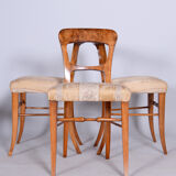 Set of four biedermeier walnut chairs, original condition, czechia, 1830s