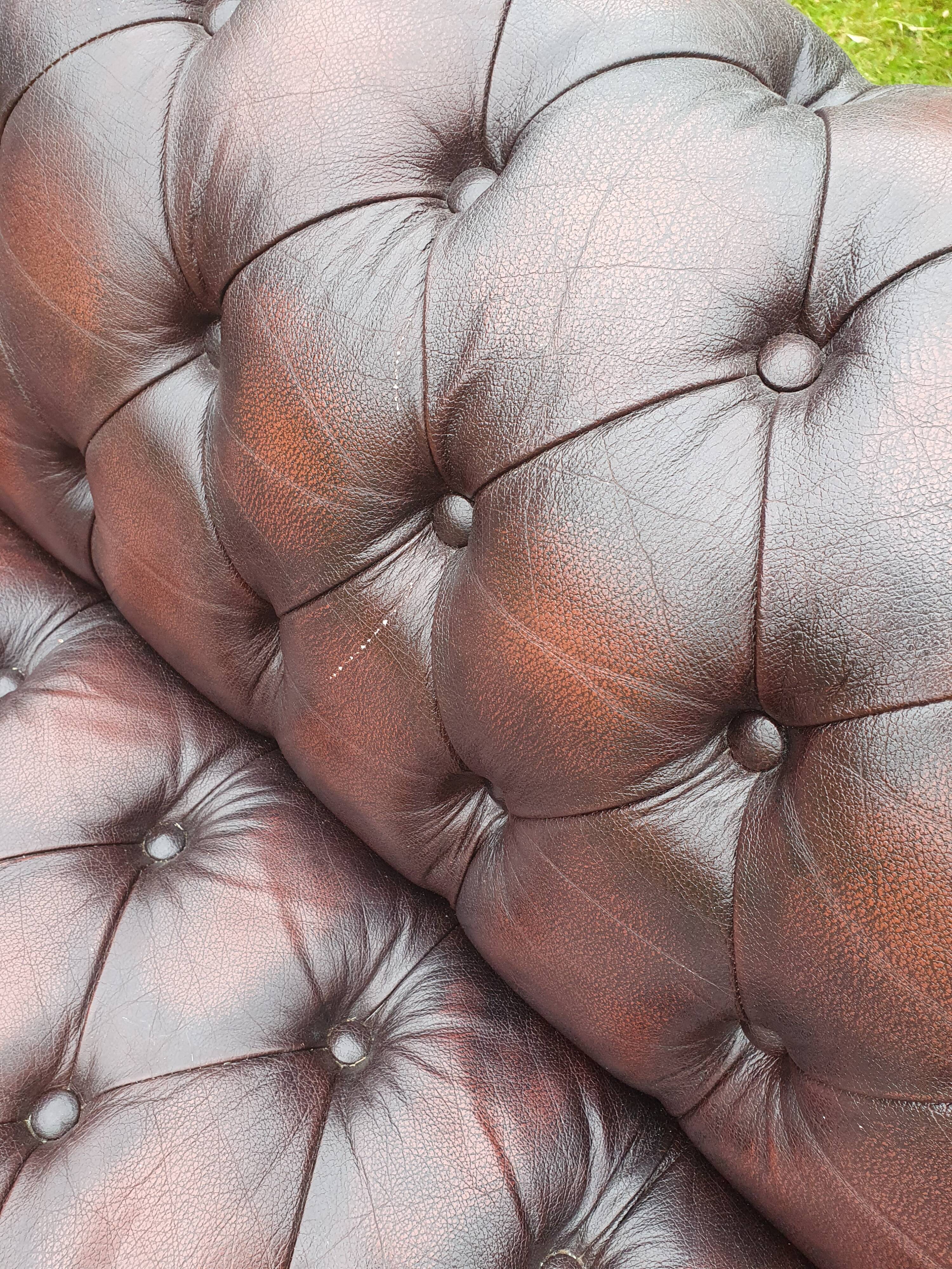 Chesterfield sofa