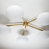 Lustre daisy stella collection