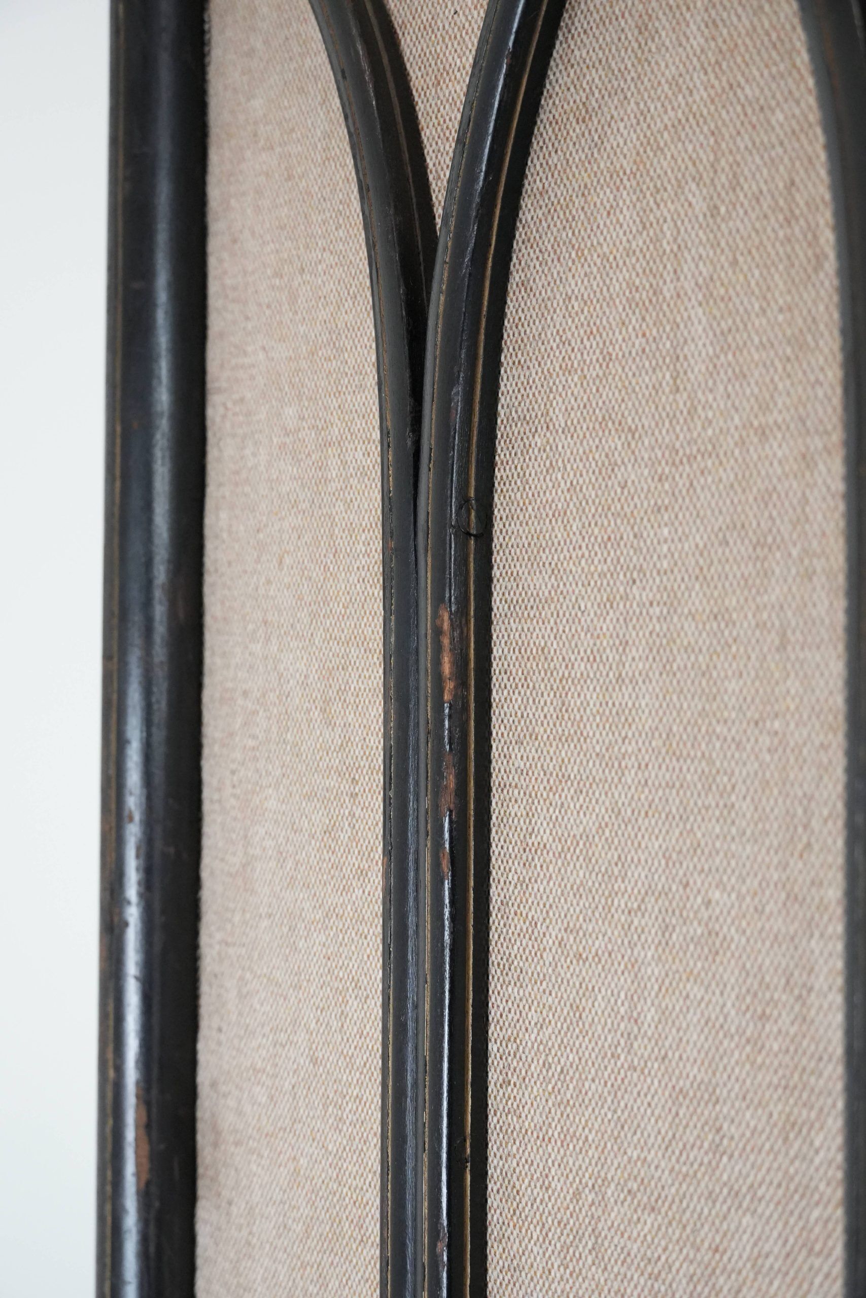 Antique restored bentwood Art Nouveau room divider from the 19th century
