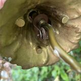 Chandelier pampilles D24