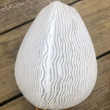 Glass and gold metal tulip wall lights