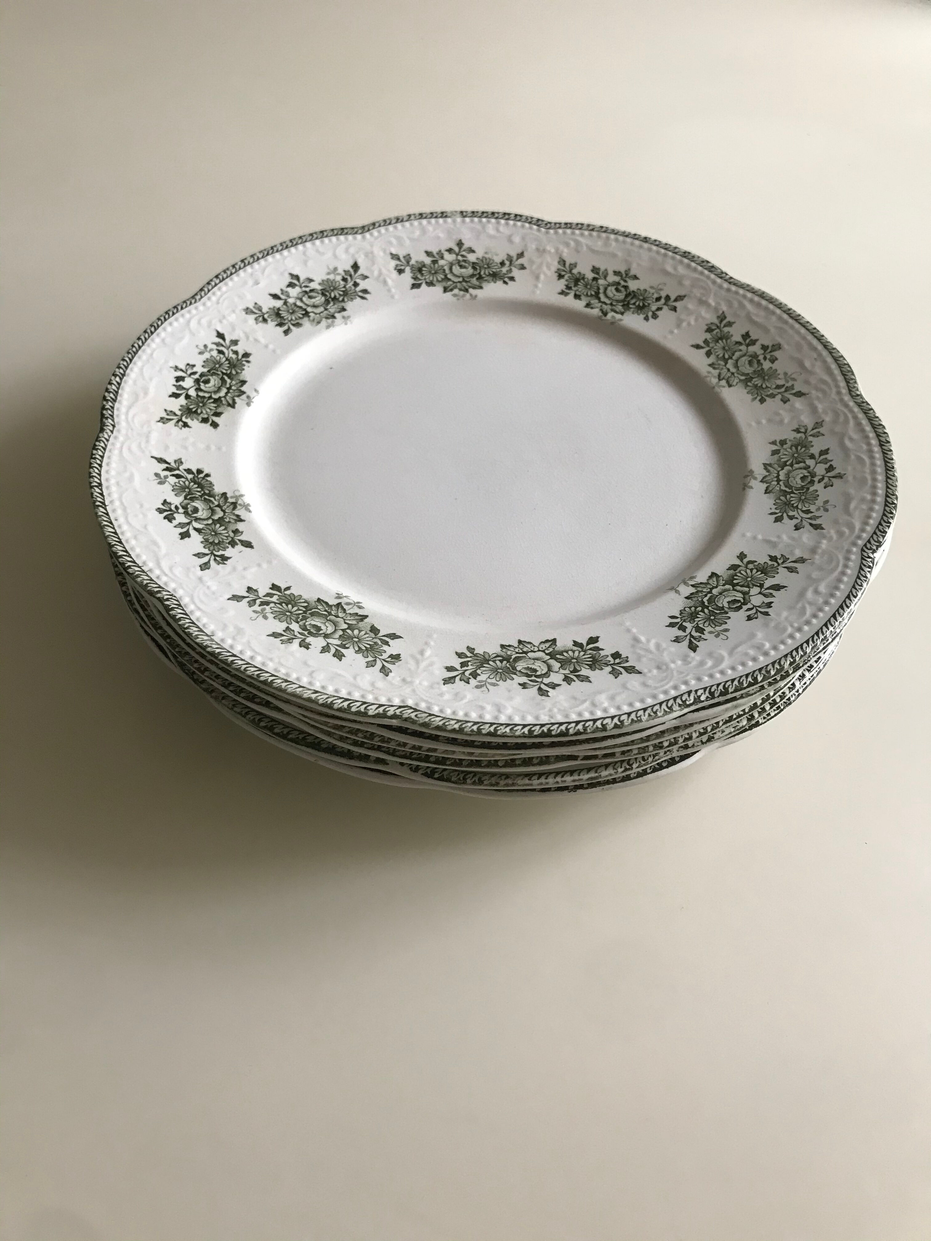 6 plates in Terre de Fer Badonviller Model Richelieu