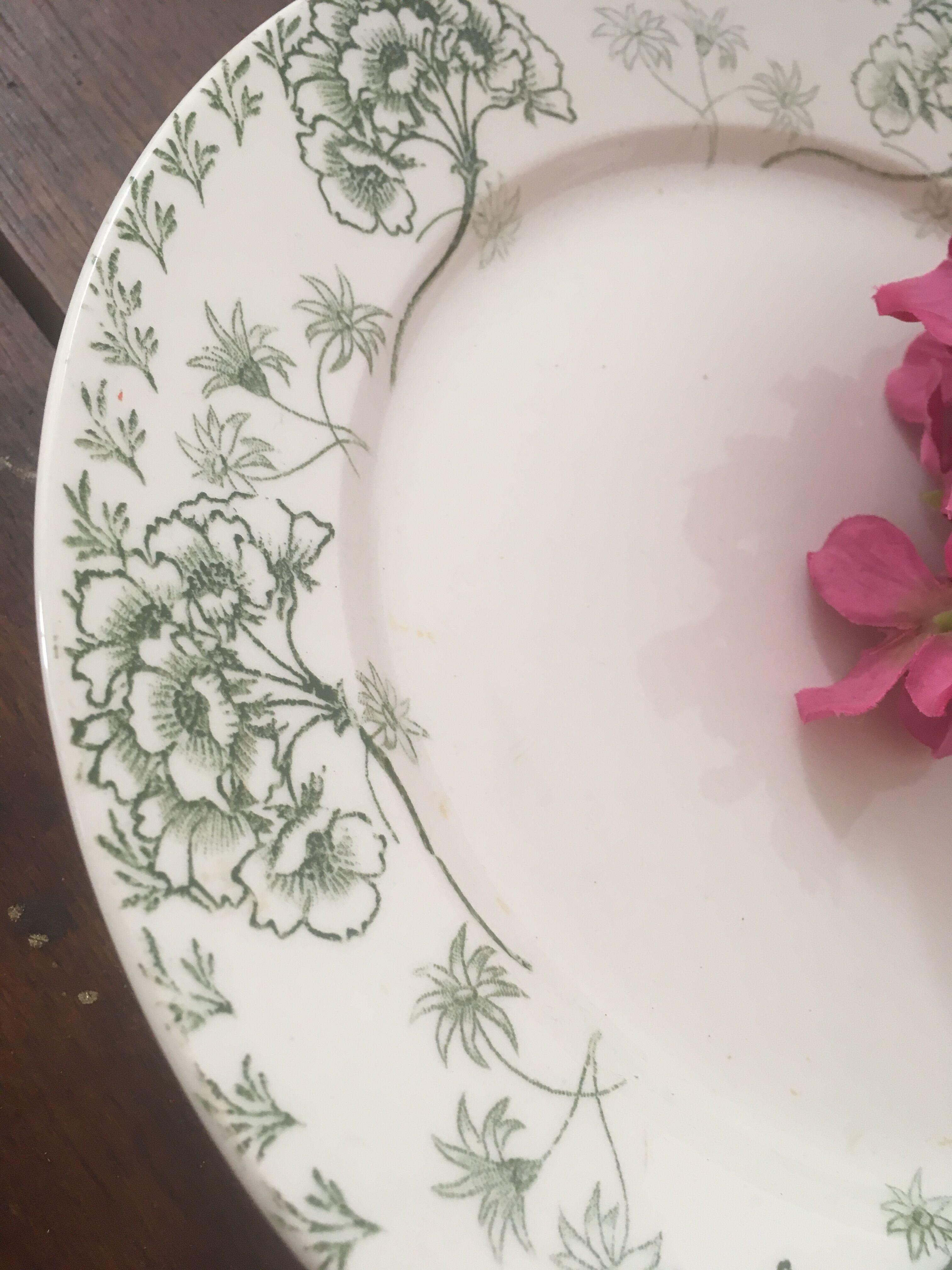 Sarreguemines "palmyre" presentation plate.