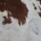 89x92cm skin rug