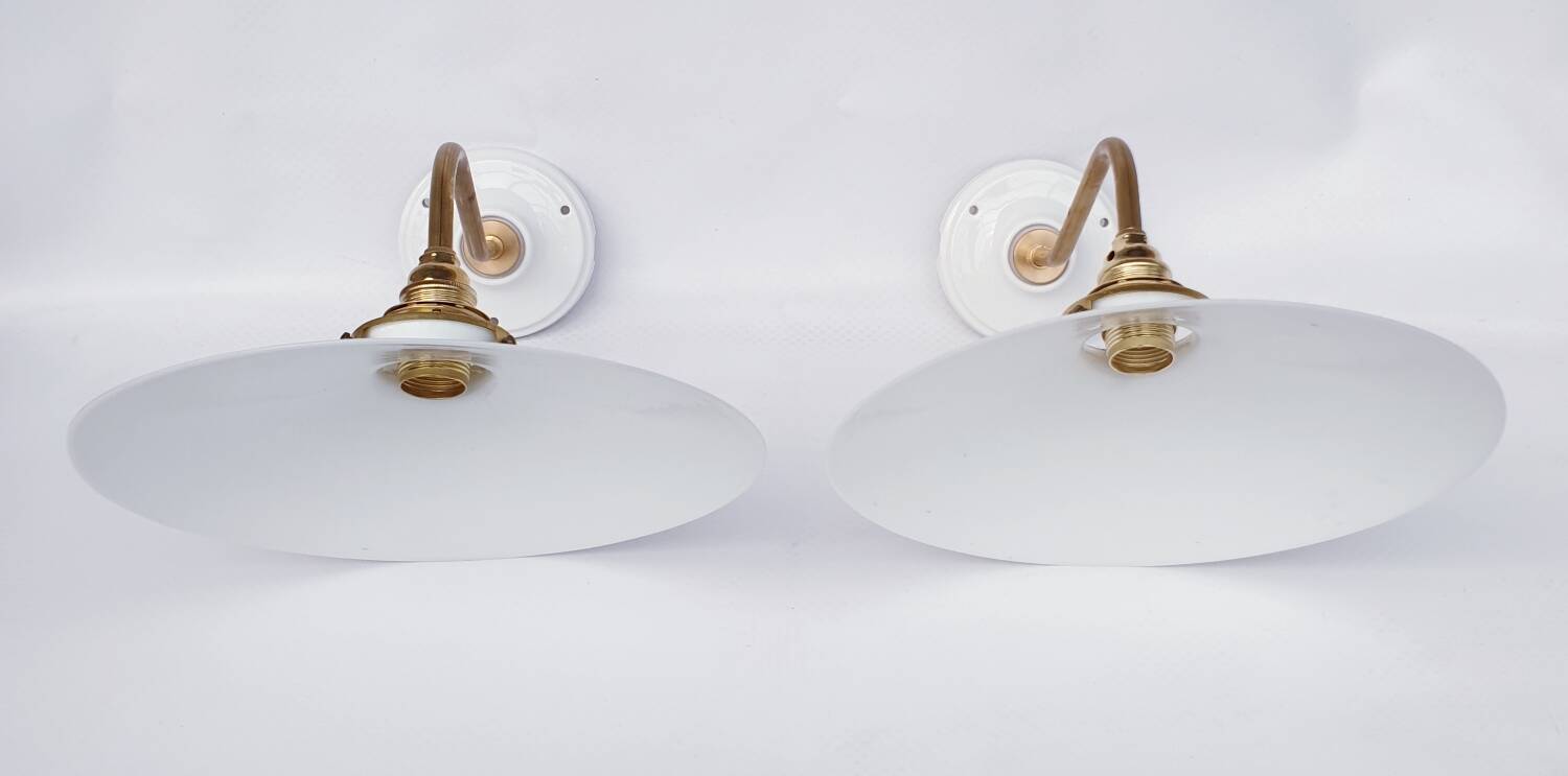 White opaline swan neck wall lights