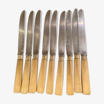 Set de 9 couteaux Pradel
